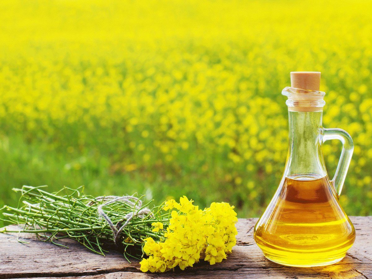 Mustard Oil Meaning In English