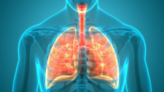 Best ways to Keep Your Lungs Healthy