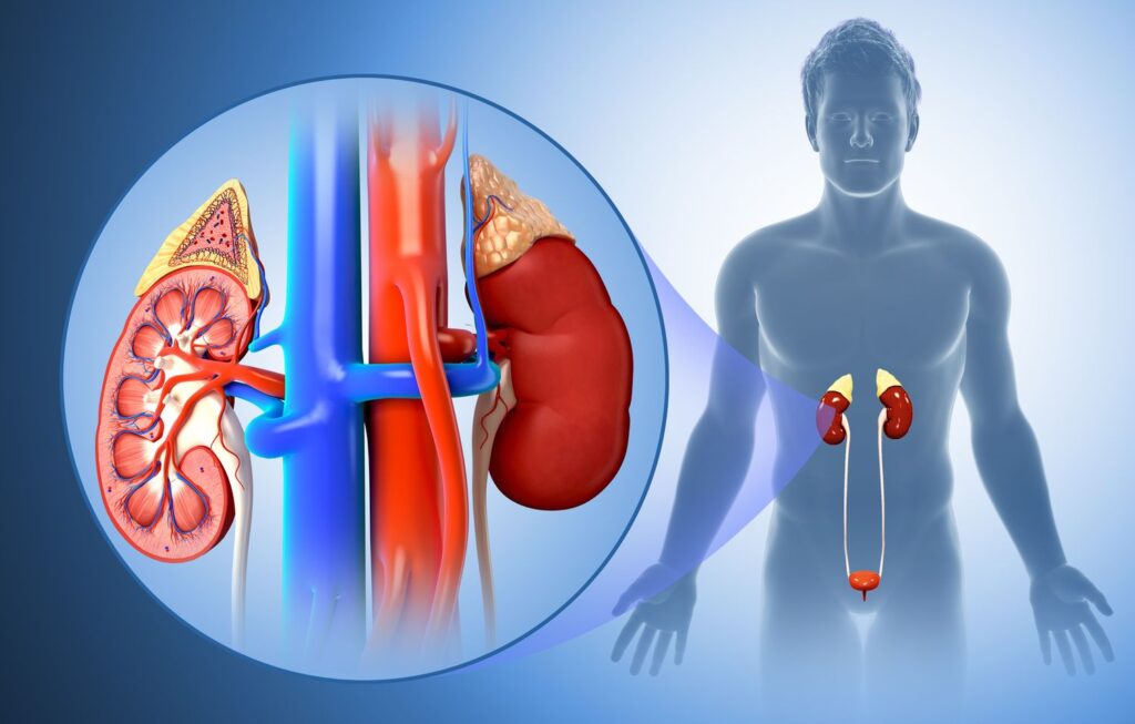 diabetes-can-cause-kidney-failure